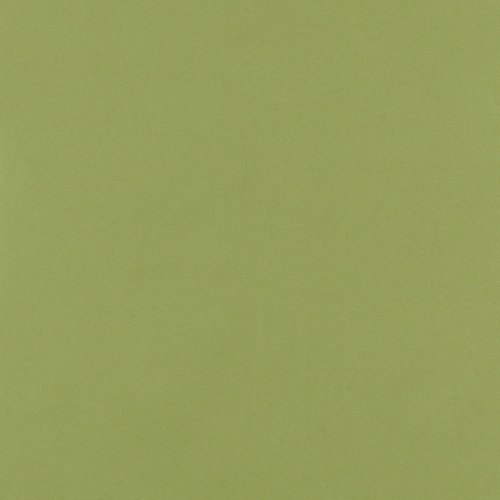Canvas Kiwi Sunbrella&reg; Performance Fabric by the Yard